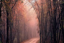 燃动黄浦,2025上海黄浦半马女子TOP5.