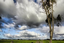 亿万28：硅谷男不差钱刮中5454万大奖 依旧开卡车上班.