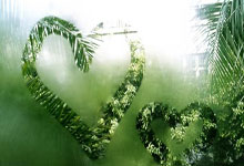 亿万28：硅谷男不差钱刮中5454万大奖 依旧开卡车上班.